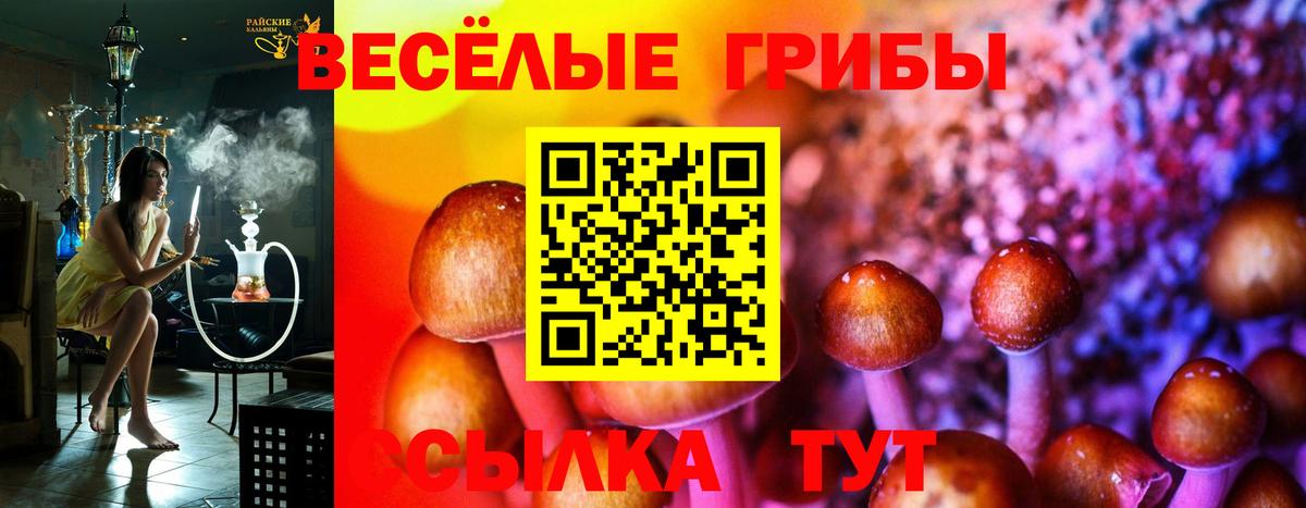 Кубинка  Псилоцибиновые грибы Psilocybine cubensis  Галлюциногенные грибы Cubensis  Вход с VPN 
